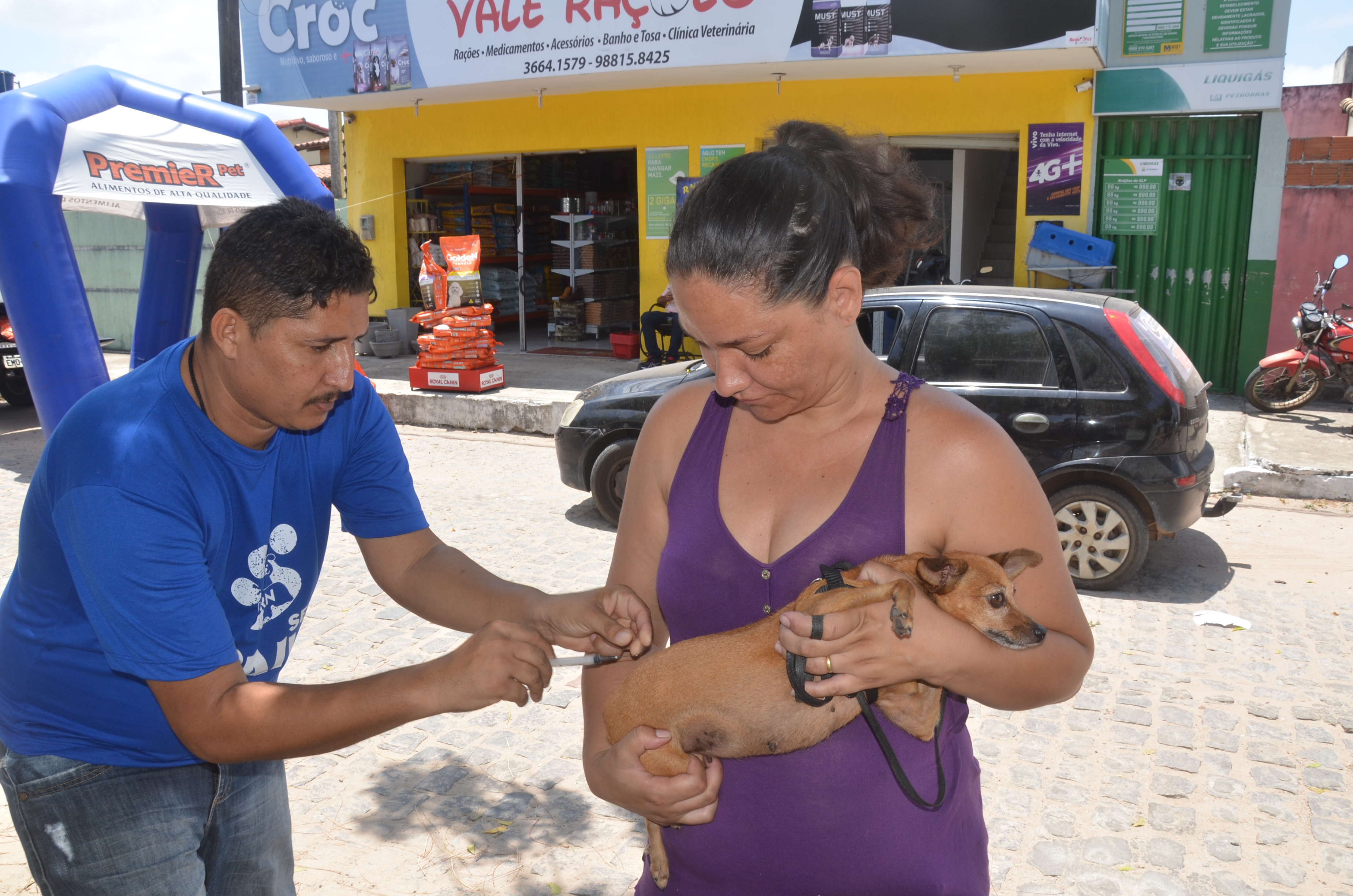 Campanha de vacinação antirrábica atinge 100% de cobertura em São Gonçalo