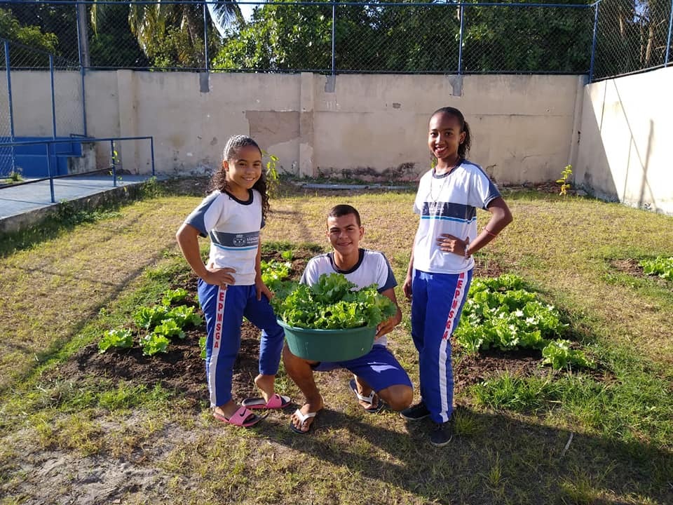 Escola municipal de Alagadiço desenvolve projeto “Horta na Escola”
