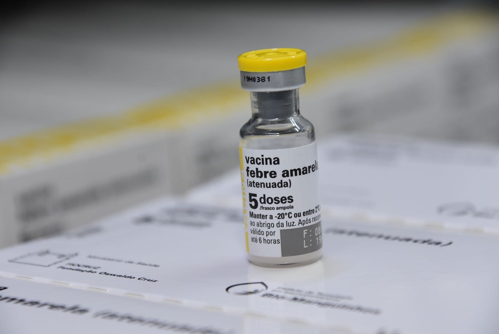 Vacina contra a febre amarela está disponível na rede de saúde de São Gonçalo