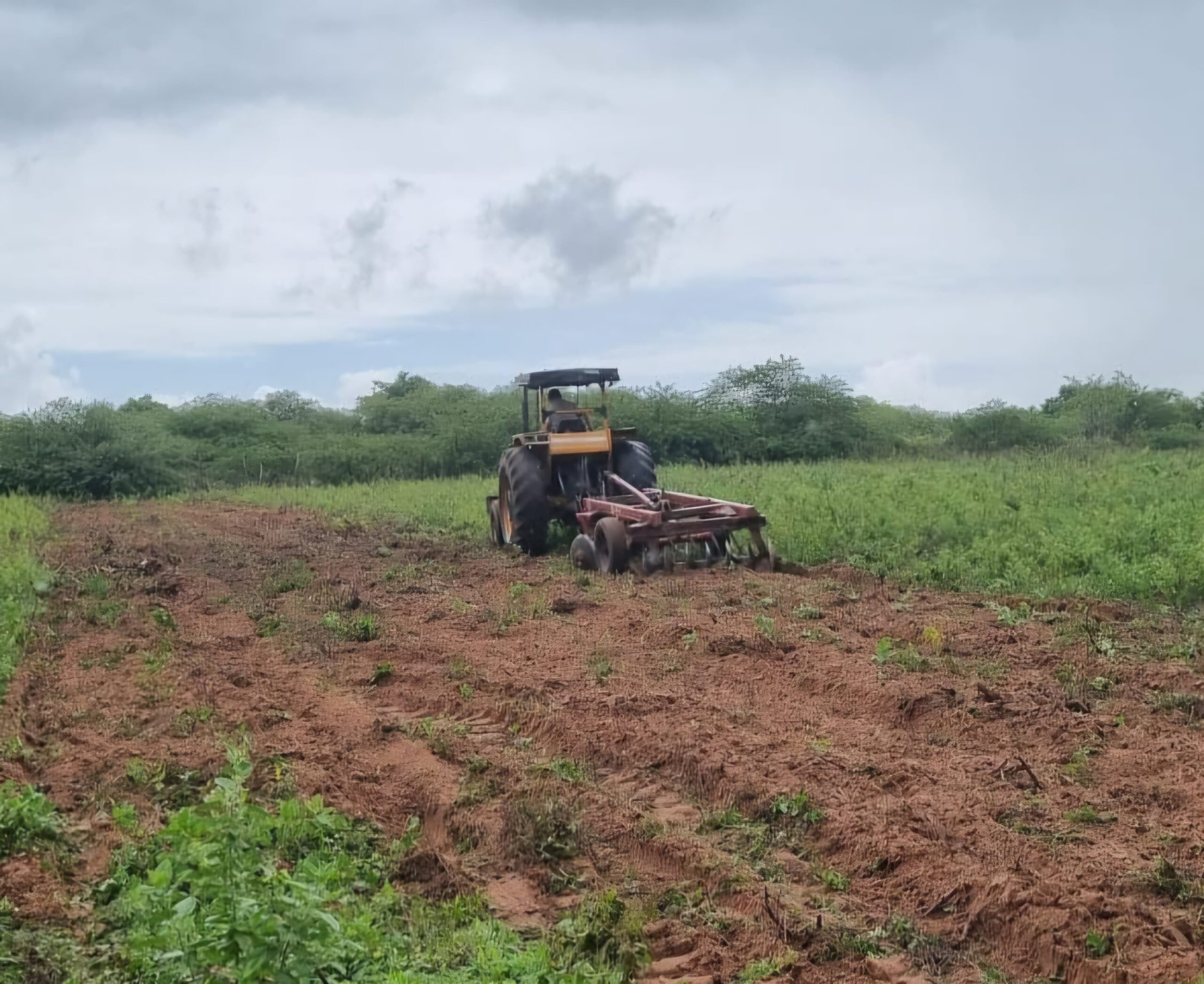 Corte de terra 2025 inicia em São Gonçalo do Amarante impulsionando a produção agrícola