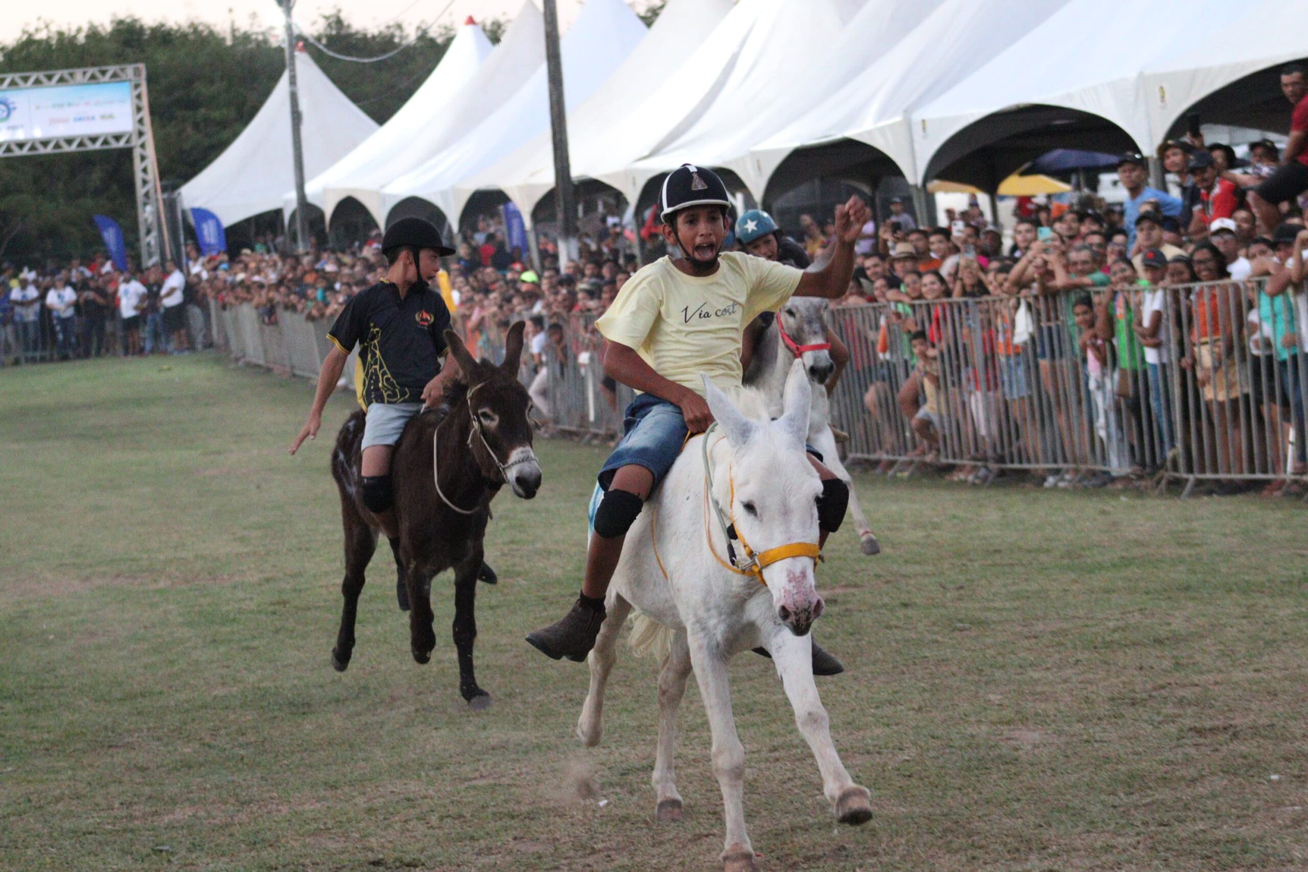 Corrida de jegue agita zona rural de São Gonçalo com irreverência e criatividade no último dia da 5ª Agrofest